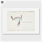 1-98_Frank-Edward-Clarke_picture