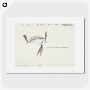 1-98_Frank-Edward-Clarke_picture