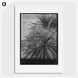 1-98_Frederick-Charles-Brockett_picture