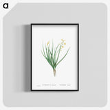 1-98_Histoire-des-Plantes-Grasses_blk-crop