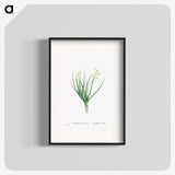 1-98_Histoire-des-Plantes-Grasses_blk