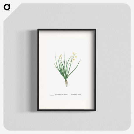 1-98_Histoire-des-Plantes-Grasses_blk