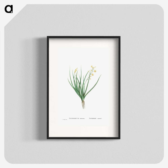 1-98_Histoire-des-Plantes-Grasses_blk