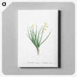1-98_Histoire-des-Plantes-Grasses_canvas