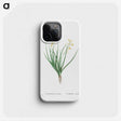 1-98_Histoire-des-Plantes-Grasses_phone