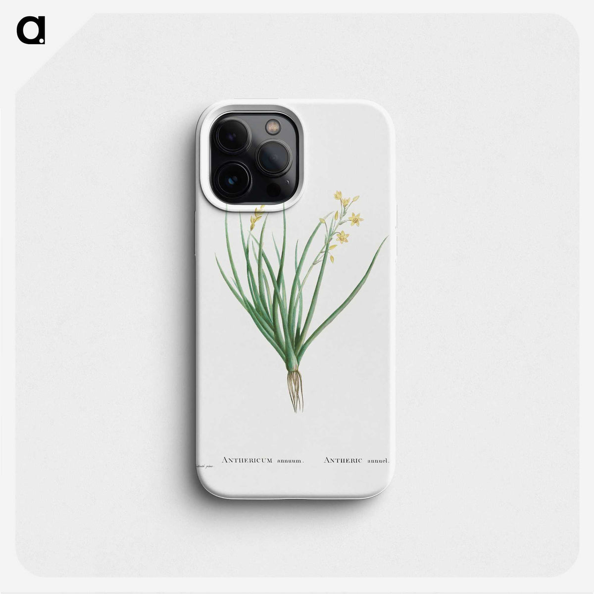 1-98_Histoire-des-Plantes-Grasses_phone