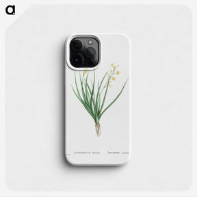 1-98_Histoire-des-Plantes-Grasses_phone