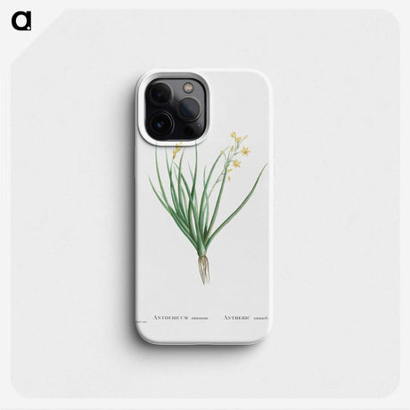 1-98_Histoire-des-Plantes-Grasses_phone