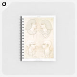 アートメモ帳-Egyptian Types & Portraits
 - エジプト美術史 Memo.