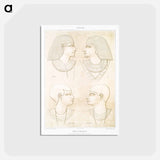 アートポストカード-Egyptian Types & Portraits
 - エジプト美術史 Postcard.
