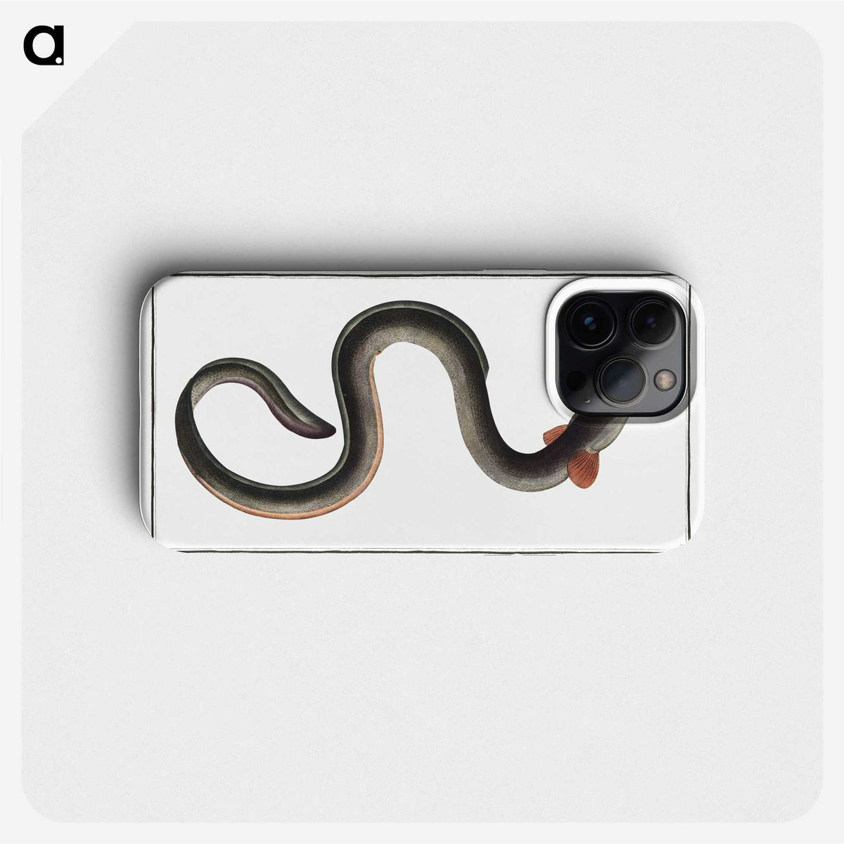 1-98_Ichtyologie-ou-Histoire-naturelle_phone