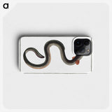 1-98_Ichtyologie-ou-Histoire-naturelle_phone