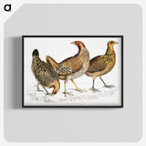 1-98_Indian-Zoology_blk-crop