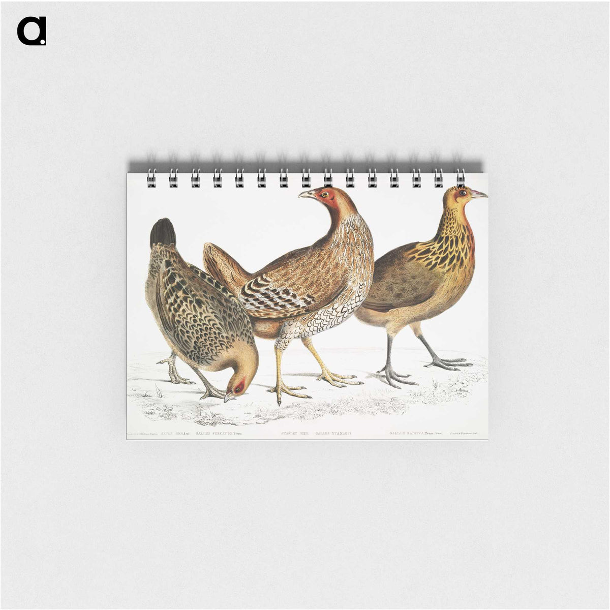 1-98_Indian-Zoology_memo