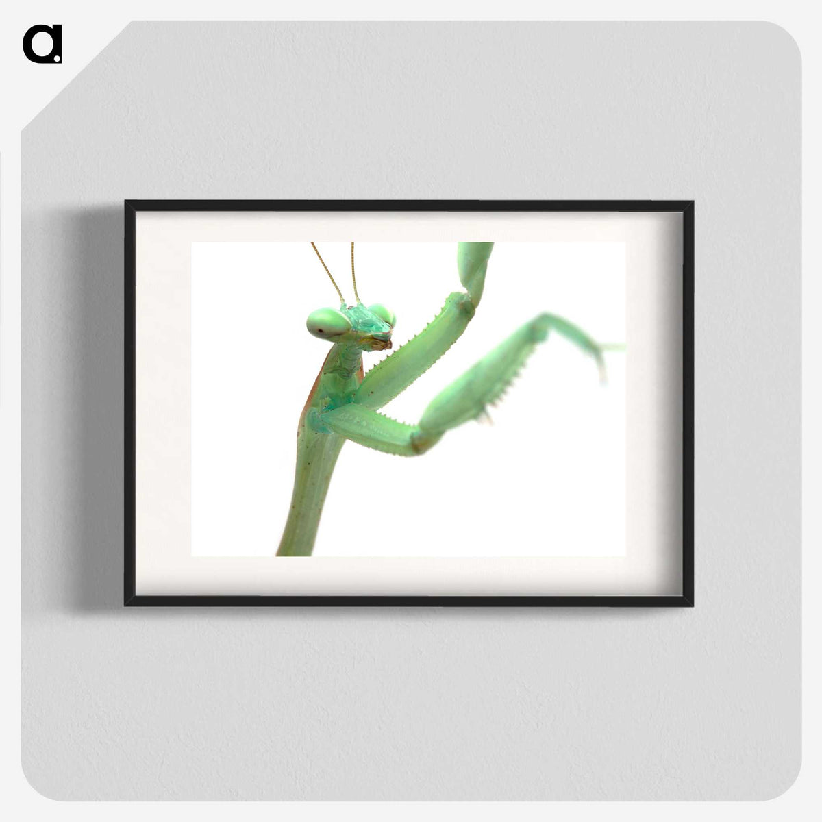 1-98_Insects-Unlocked-Project_blk