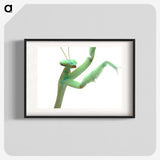 1-98_Insects-Unlocked-Project_blk