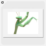 1-98_Insects-Unlocked-Project_picture