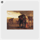 Harvesting potatoes - ジャン フランソワ ミレー Postcard.