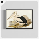 1-98_John-Gould_blk-crop
