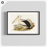 1-98_John-Gould_blk