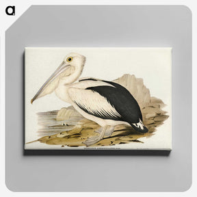 1-98_John-Gould_canvas
