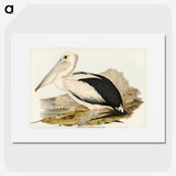1-98_John-Gould_picture