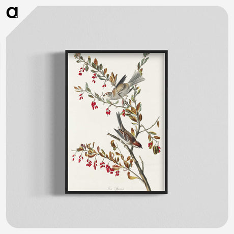 1-98_John-James-Audubon_blk-crop