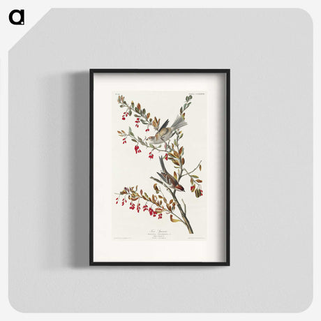 1-98_John-James-Audubon_blk