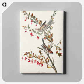 アートパネル-Tree Sparrow
 - ジョン ジェームス オーデュボン Canvas.
