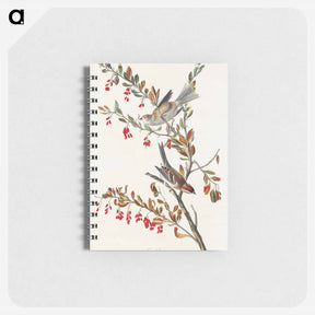アートメモ帳-Tree Sparrow
 - ジョン ジェームス オーデュボン Memo.