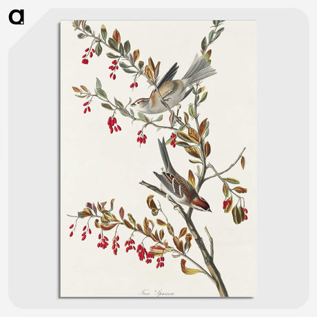 1-98_John-James-Audubon_picture-crop