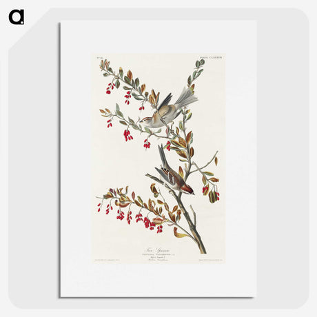 1-98_John-James-Audubon_picture