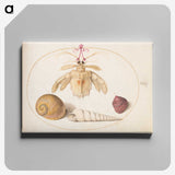 1-98_Joris-Hoefnagel_canvas