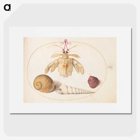 1-98_Joris-Hoefnagel_picture