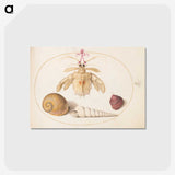 1-98_Joris-Hoefnagel_postcard