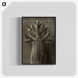 1-98_Karl-Blossfeldt_blk-crop