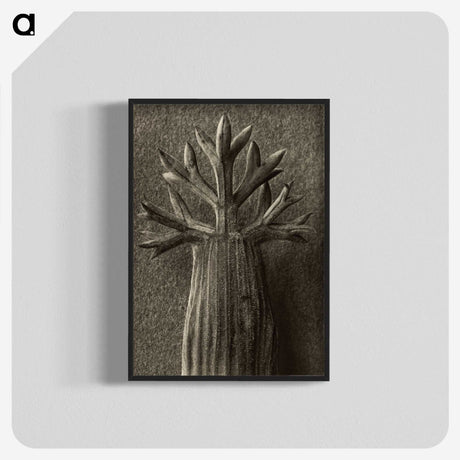 1-98_Karl-Blossfeldt_blk-crop
