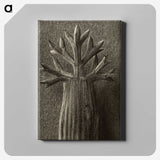 1-98_Karl-Blossfeldt_canvas