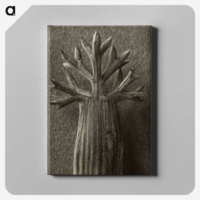 1-98_Karl-Blossfeldt_canvas