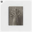1-98_Karl-Blossfeldt_memo