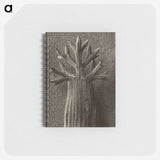 1-98_Karl-Blossfeldt_memo