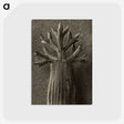 1-98_Karl-Blossfeldt_postcard