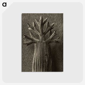 1-98_Karl-Blossfeldt_postcard