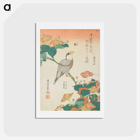 アートポストカード-Hawfinch and Marvel-of-Peru - 葛飾 北斎 Postcard.