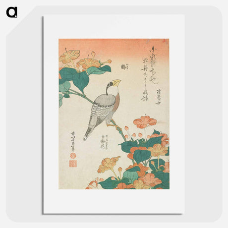 アートポスター-Hawfinch and Marvel-of-Peru - 葛飾 北斎 Poster.
