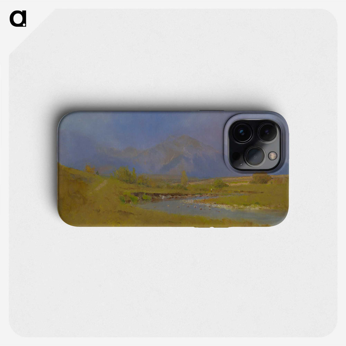 1-98_Ladislav-Mednyanszky_phone