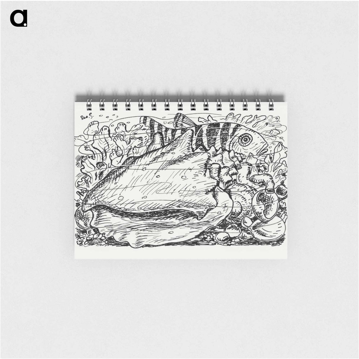 Fish and shell in the water - レオ ヘステル Memo.