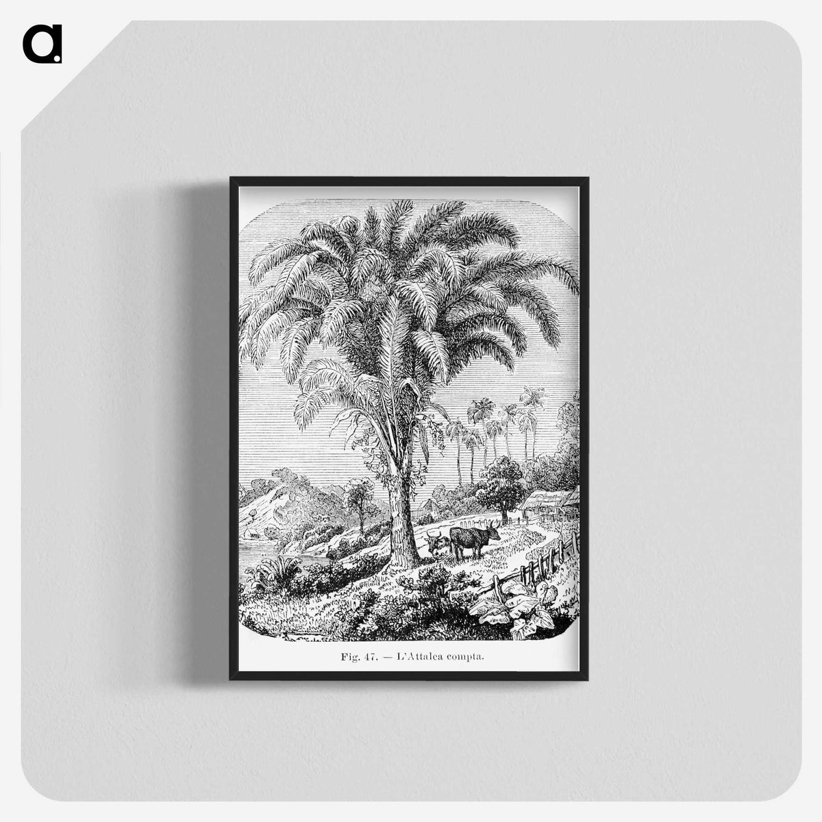 1-98_Les-Palmiers-Histoire-Iconographique_blk-crop