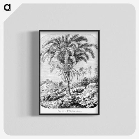 1-98_Les-Palmiers-Histoire-Iconographique_blk-crop