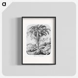 1-98_Les-Palmiers-Histoire-Iconographique_blk
